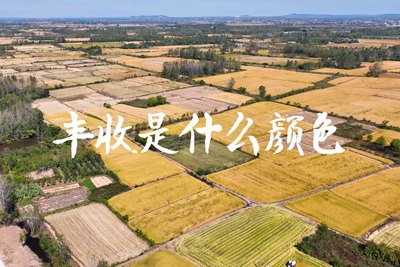 春種一粒粟，秋收萬顆子。多彩的豐收季，只愿五谷豐登，百事興旺3.240_400.jpg