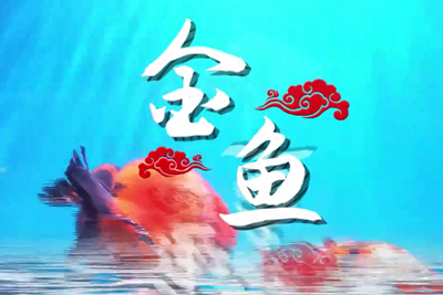 金魚歡躍，流光溢彩！_400.jpg